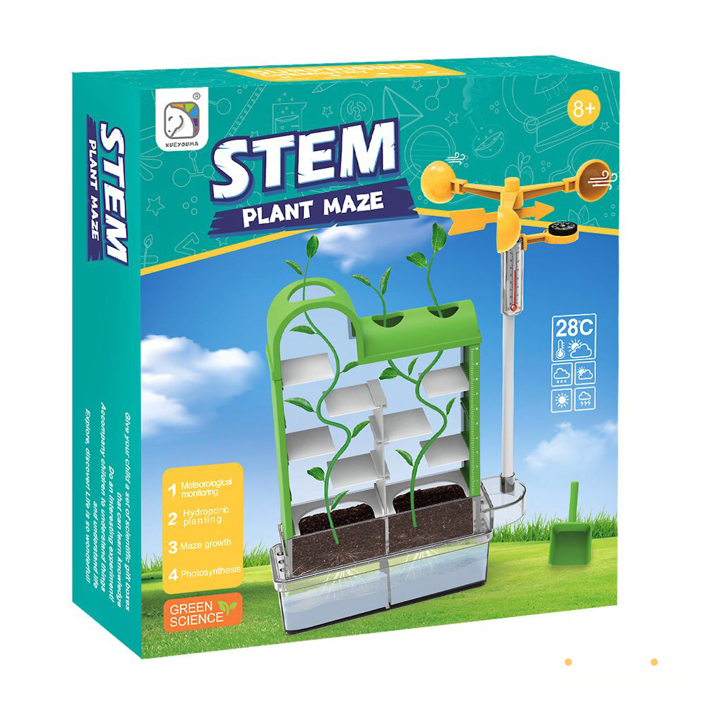 science experiment plant maze